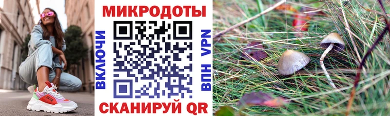 Псилоцибиновые грибы прущие грибы  Купить  Пятигорск 